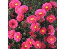 ����� ��������������� ����� ����.jpg