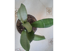 20151005 115155 HDR.jpg