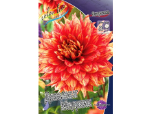 82���. �������� �������� ������(�������� ���� �� 1 ��., ����������� ����� 1��.)���14.jpg