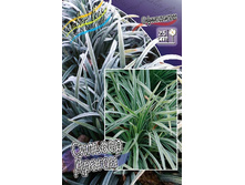 160,1���. ��������� ������� ������(�������� ���� �� 1 ��., ����������� ����� 1��.).jpg