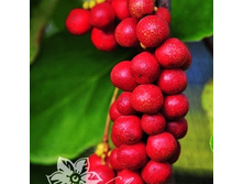 236���. �������� ��������� ������� №1.jpg