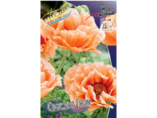 107���. ��� ������ ����(�������� ���� �� 1 ��., ����������� ����� 1��.).jpg