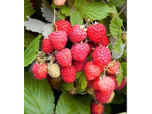 167���. ������ ������� ���16.jpg