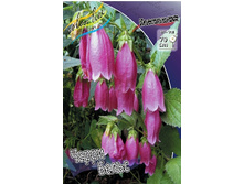 130,3���. ����������� ����� �����(�������� ���� �� 1 ��., ����������� ����� 1��.).jpg