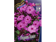 81,7���. ����� ����� ����(�������� ���� �� 2 ��., ����������� ����� 1��.).jpg