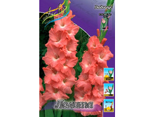 8,18���. ��������� ������(���������� ������ ������ ���������� �� 8 ��.).jpg