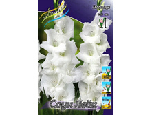 9,83���. ��������� ���� ����(���������� ������ ������ ���������� �� 8 ��.).jpg