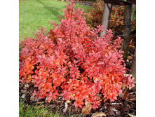 �������� ��� ������-137.jpg