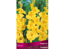 ��������� ��������.jpg