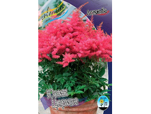 93,8���. �������� ���� ������(�������� ���� �� 1 ��., ����������� ����� 1��.).jpg