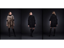 �����. 40-54