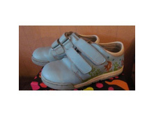 350. 26 ������