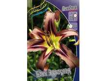 180���. �������� ���� ��������(�������� ���� �� 1 ��., ����������� ����� 1��.).jpg