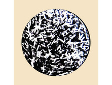 �� ��� Zebrano ��� ZB 402 �����-����� �������� (����.3��).jpg