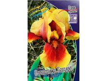 95,3���. ���� ���������� �������� ������(�������� ���� �� 2 ��., ����������� ����� 1��.).jpg