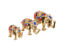 �������� �� ����� "��� �����" 1147.jpg