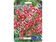 ������ ����.jpg