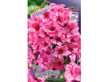 90���. ����� ��� ���������(�������� ���� �� 2 ��., ����������� ����� 1��.).jpg