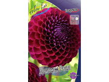 83,9���. �������� ������� ����(�������� ���� �� 1 ��., ����������� ����� 1��.).jpg