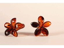 �������	a117 �����.  2��  50 ���.