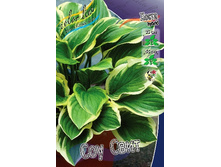 61,8���. ����� ��� ����(�������� ���� �� 2 ��., ����������� ����� 1��.).jpg