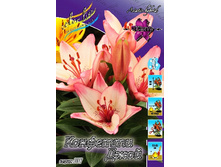 24,44���. ����� �������� ����(�������� ���� �� 5 ��., ����������� ����� 1��.).jpg