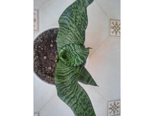 20151005 115252 HDR.jpg