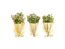 ����� "����� � �������� �ף����" 28��