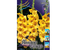 8,18���. ��������� ������ ����(���������� ������ ������ ���������� �� 8 ��.).jpg