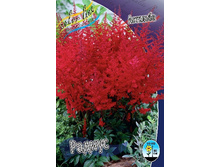 95,4���. �������� ������(�������� ���� �� 1 ��., ����������� ����� 1��.).jpg