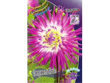 78,1���. �������� ���������(�������� ���� �� 1 ��., ����������� ����� 1��.).jpg