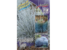 72,2���. �������� ������� ���(�������� ���� �� 1 ��., ����������� ����� 1��.).jpg