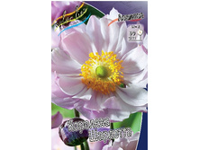 102,1���. ������� �������� ��������(�������� ���� �� 1 ��., ����������� ����� 1��.).jpg