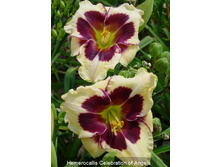 241,4���. �������� ���������� �� ������(�������� ���� �� 1 ��., ����������� ����� 1��.)���16.jpg