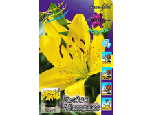 21,9���. ����� ������ �������(�������� ���� �� 7 ��., ����������� ����� 1��.).jpg