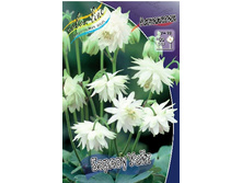 36,95���. ��������� ������ ����(�������� ���� �� 2 ��., ����������� ����� 1��.).jpg