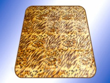 ��������� �����, 8015.jpg