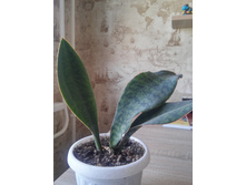 20151005 114248 HDR.jpg