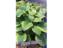 105,4���. ����� ������ ������(�������� ���� �� 1 ��., ����������� ����� 1��.).jpg