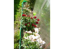 ������� (83).JPG