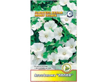 �������� ���� ����� ����� ���������� 	0,3	8,00 ���.