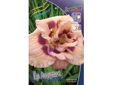 213,2���. �������� �� ������(�������� ���� �� 1 ��., ����������� ����� 1��.).jpg