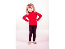 ������ ������� 2/1329