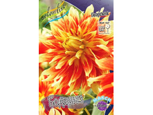 87,5���. �������� �������(�������� ���� �� 1 ��., ����������� ����� 1��.).jpg