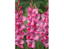 10,19���. ��������� �������(���������� ������ ������ ���������� �� 8 ��.)���16.jpg