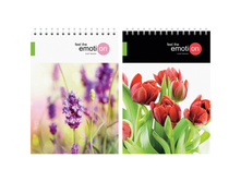 ������� �5 40�. �� ������ �����. Emotion flowers 16,50.jpg