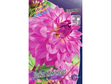 82���. �������� ���� �������(�������� ���� �� 1 ��., ����������� ����� 1��.).jpg