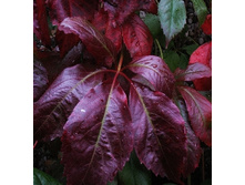 148���. ������� �������� �������̣����.jpg