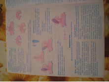 ���������� ���� �����_����������2