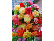 65,13���. ������� �������� �����(�������� ���� �� 3 ��., ����������� ����� 1��.).jpg